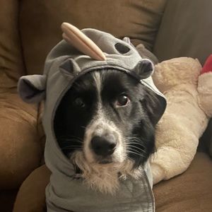 Meet your Posher, Charleah